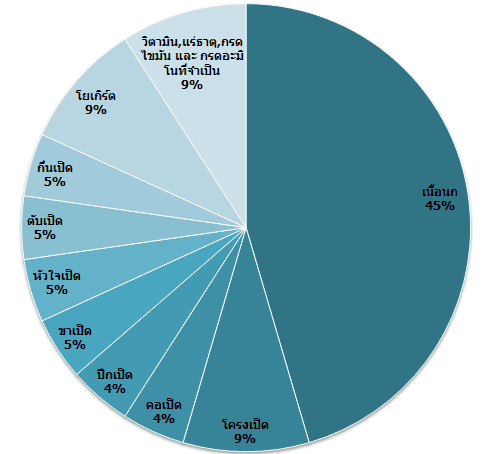 Picture of the author