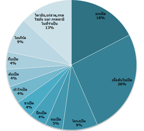 Picture of the author